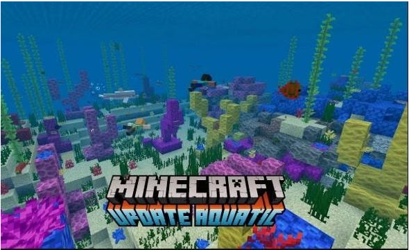 Đặt tên cho Minecraft